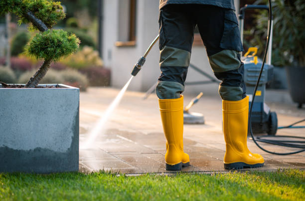 Best Local Pressure Washing Services  in Lavaca, AR